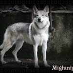 Mightnight ME mod