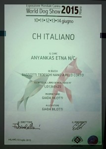 campionato anyankas etna